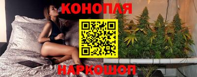 стафф Кинель