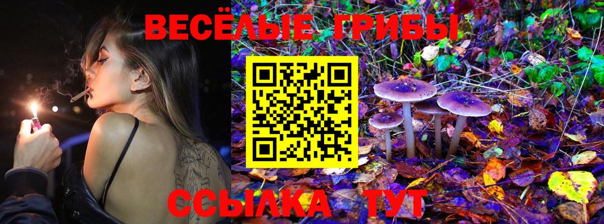 Псилоцибиновые грибы Psilocybe  Вход с VPN  Куйбышев 