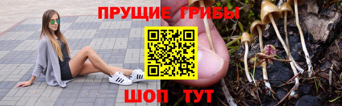 Галлюциногенные грибы Cubensis Куйбышев